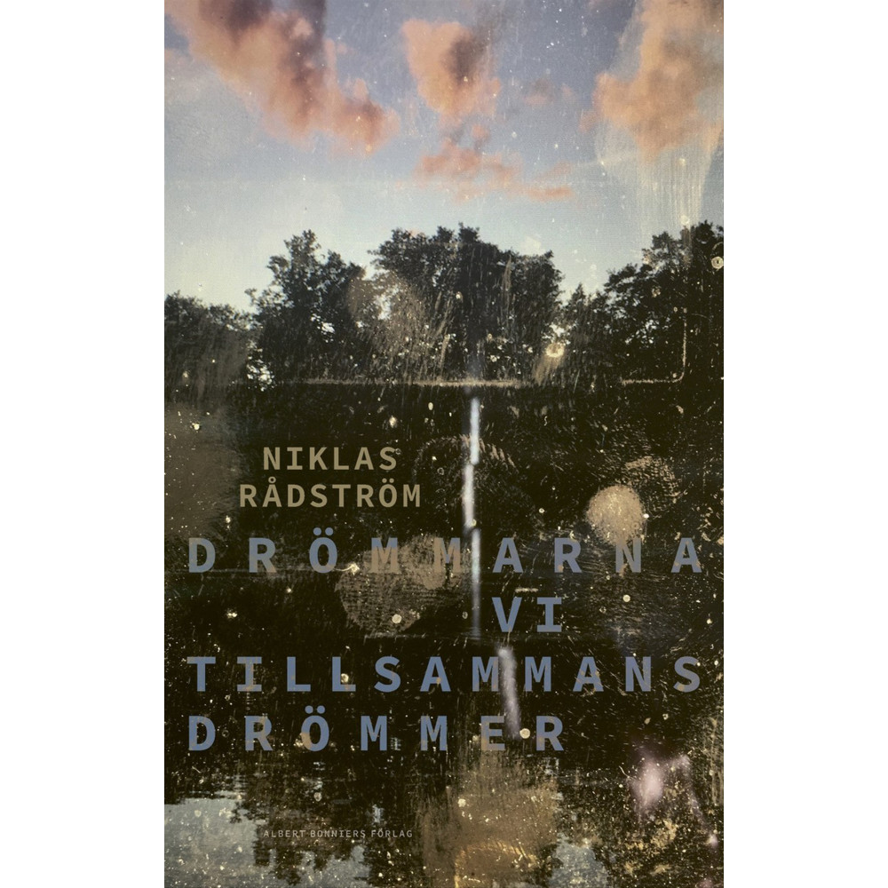 Produktbild för Drömmarna vi tillsammans drömmer (inbunden)