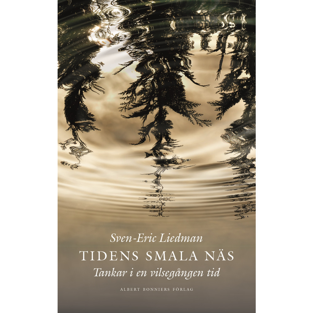 Produktbild för Tidens smala näs : Tankar i en vilsegången tid (inbunden)