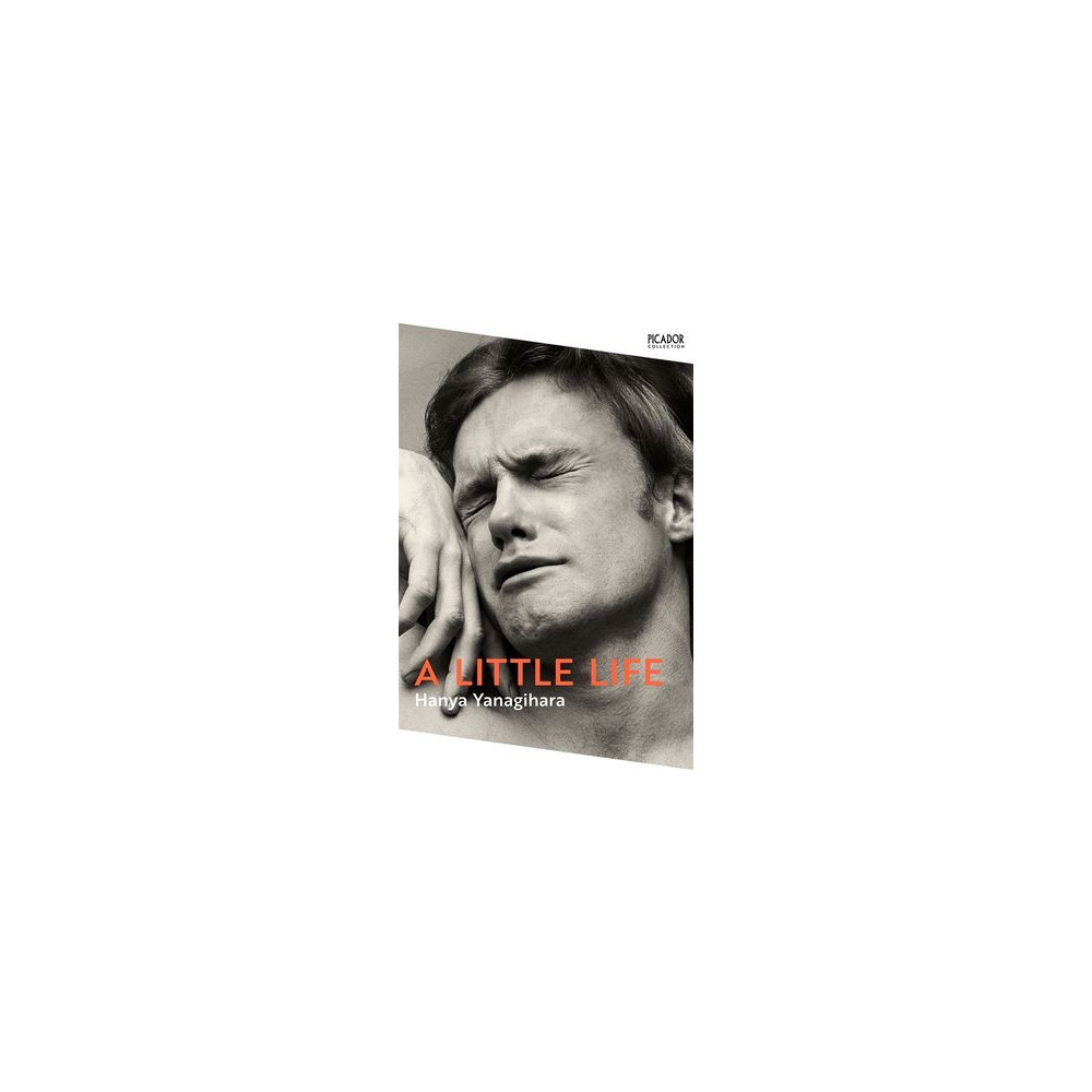 Produktbild för A Little Life (pocket, eng)