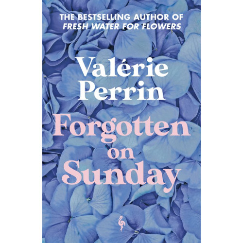 Valérie Perrin Forgotten on Sunday (pocket, eng)
