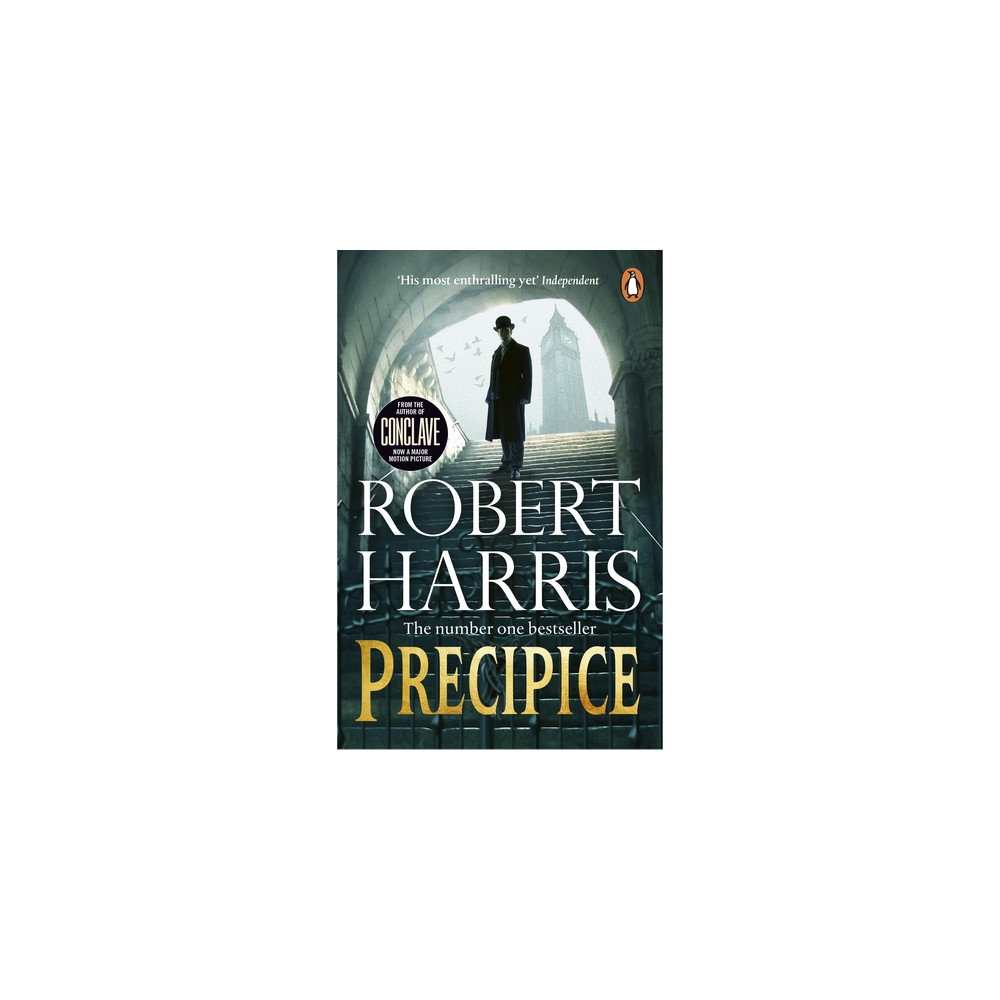 Produktbild för Precipice (pocket, eng)
