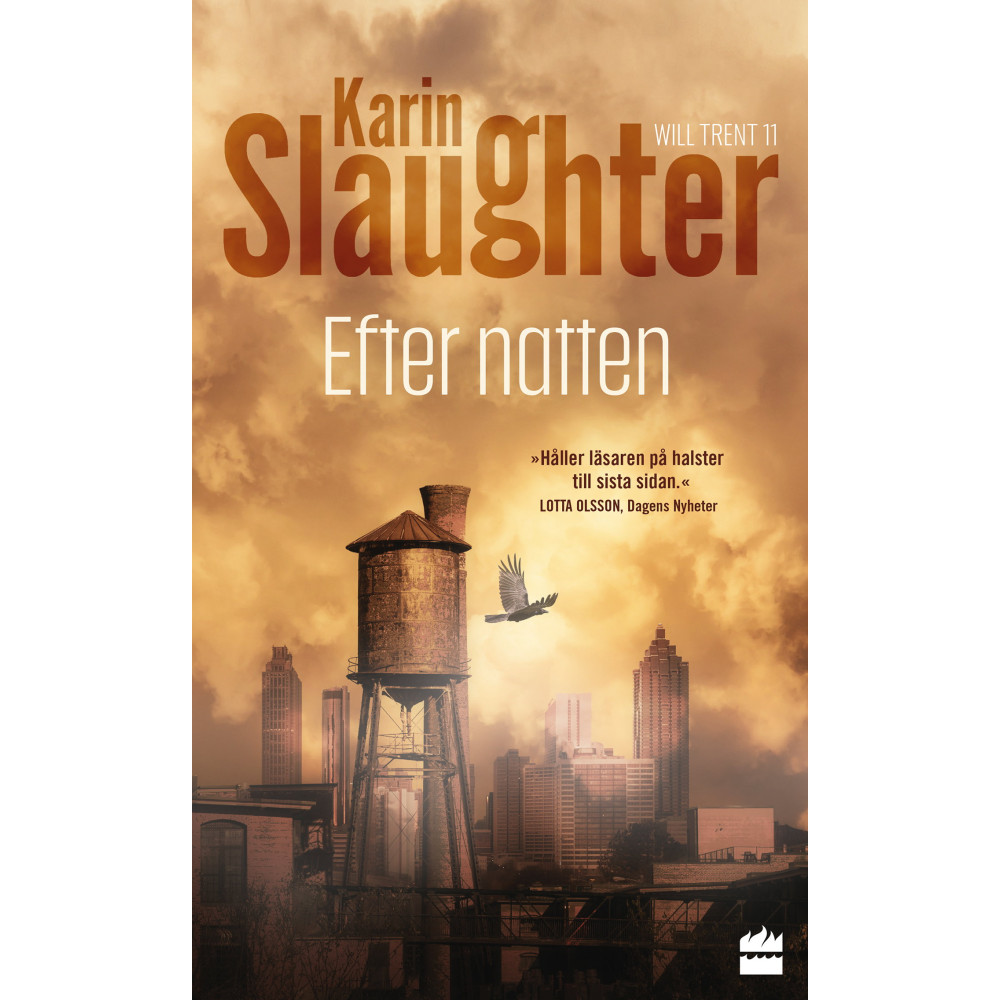 Produktbild för Efter natten (pocket)