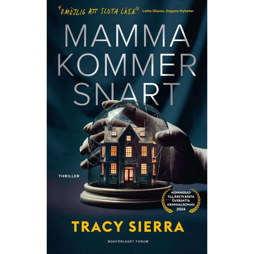 Produktbild för Mamma kommer snart (pocket)