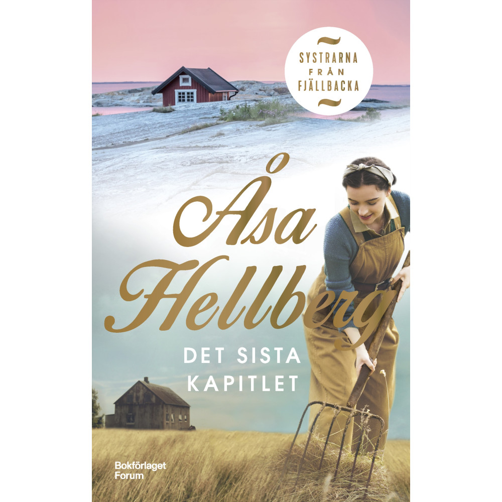 Produktbild för Det sista kapitlet (inbunden)