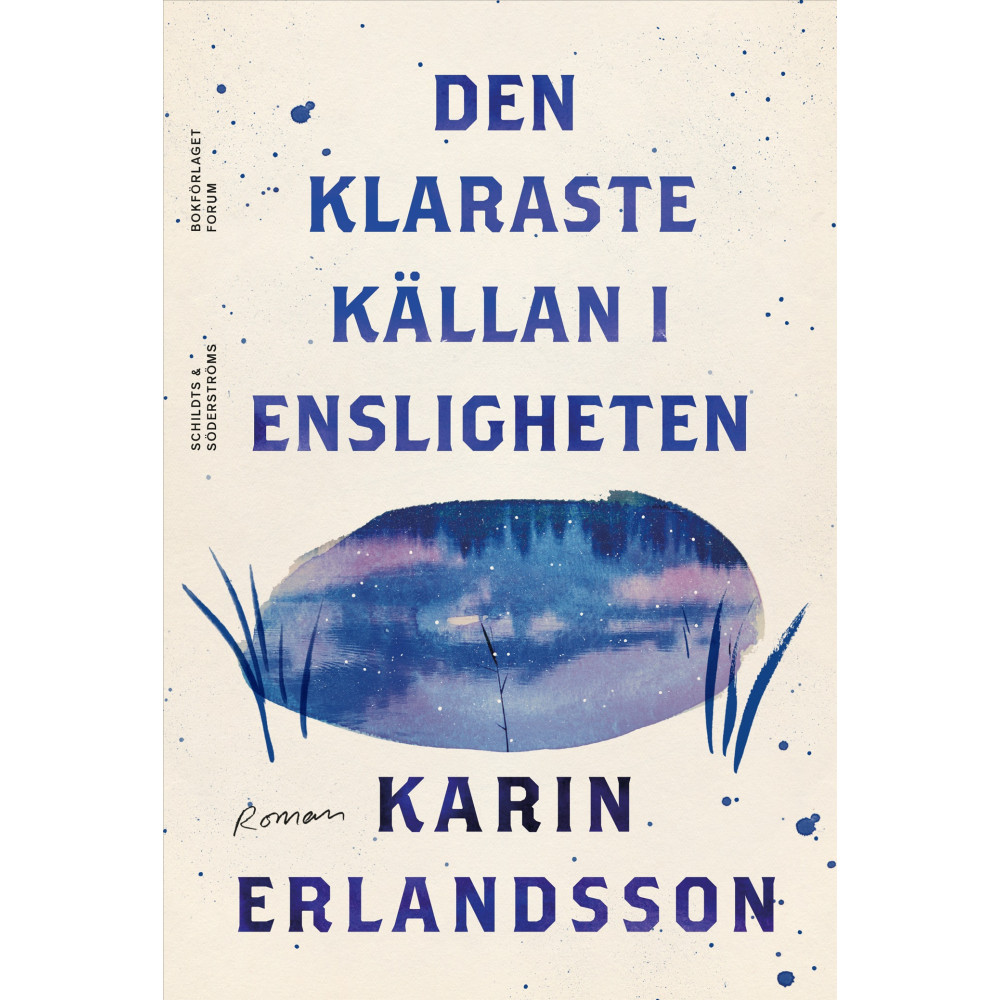 Produktbild för Den klaraste källan i Ensligheten (inbunden)