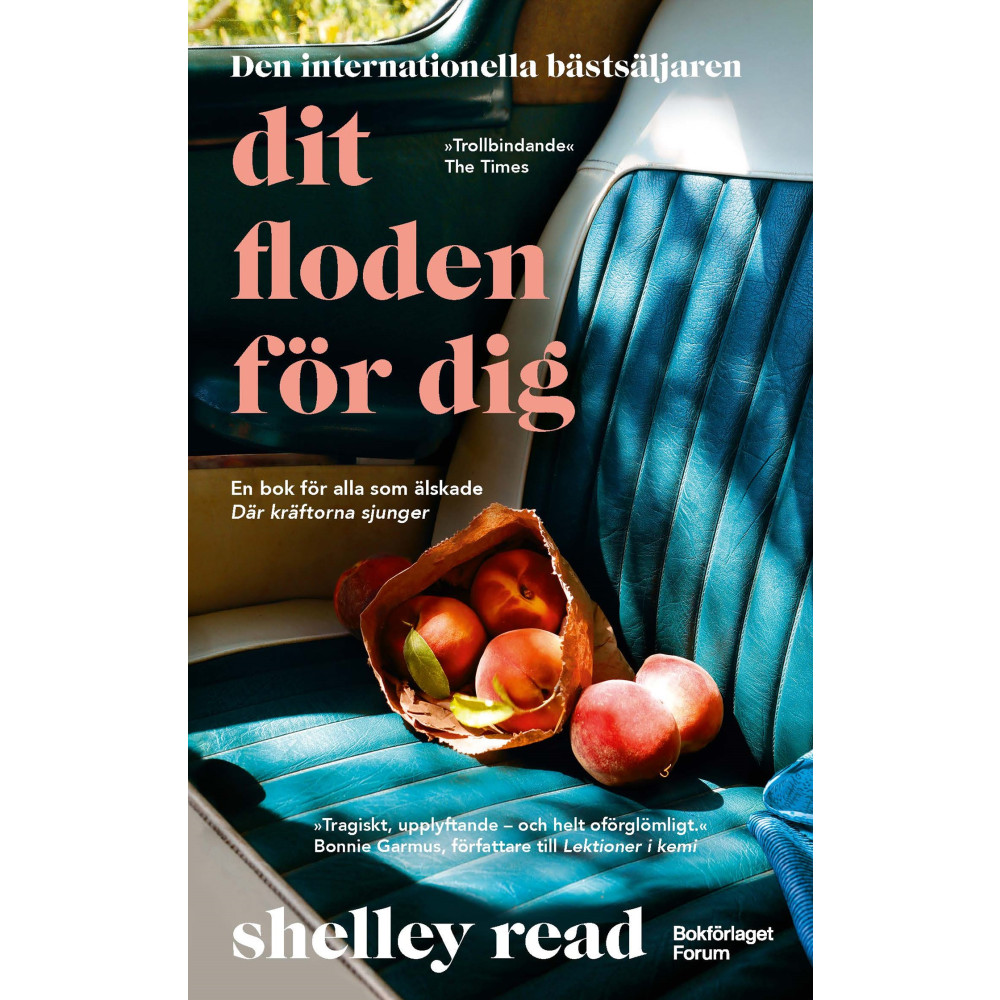 Produktbild för Dit floden för dig (pocket)