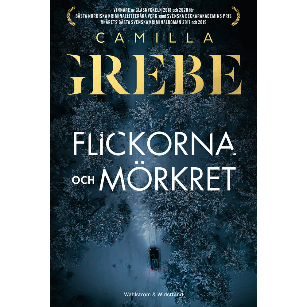 Produktbild för Flickorna och Mörkret (inbunden)