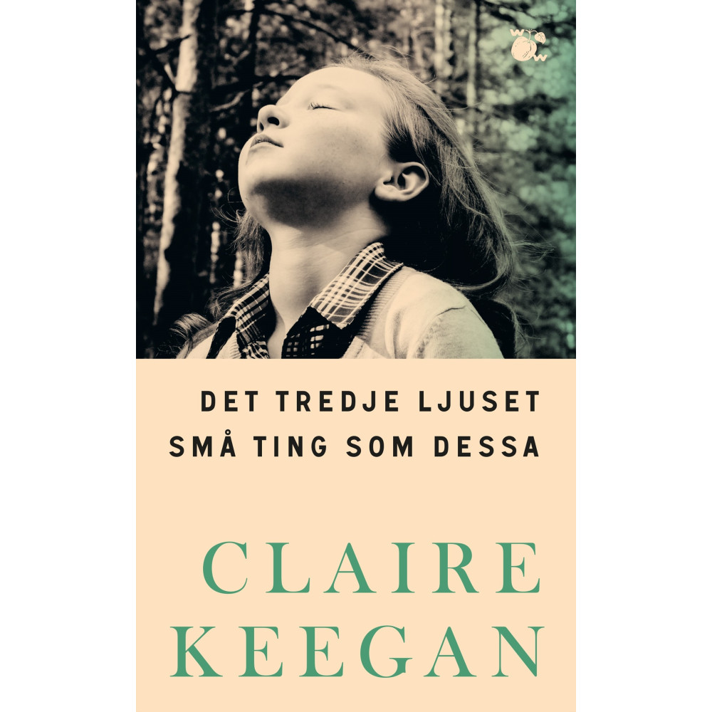 Produktbild för Det tredje ljuset ; Små ting som dessa (pocket)