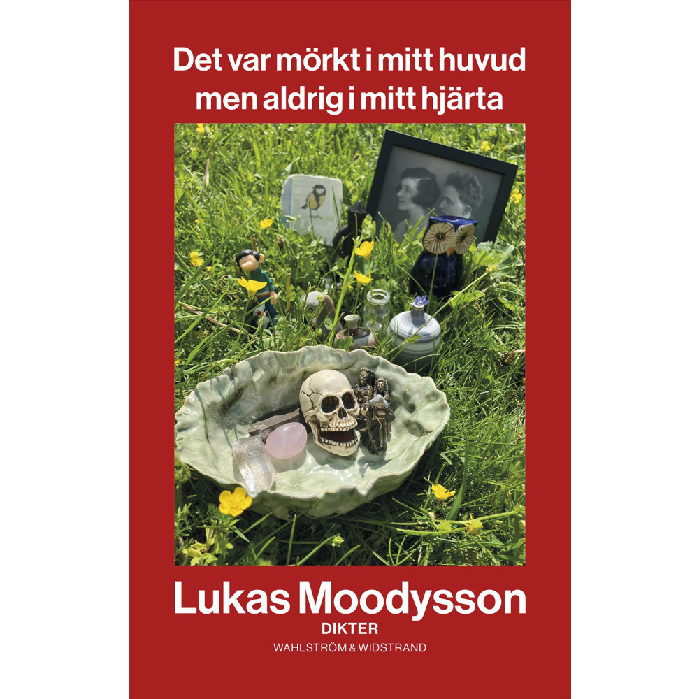 Produktbild för Det var mörkt i mitt huvud men aldrig i mitt hjärta (bok, danskt band)