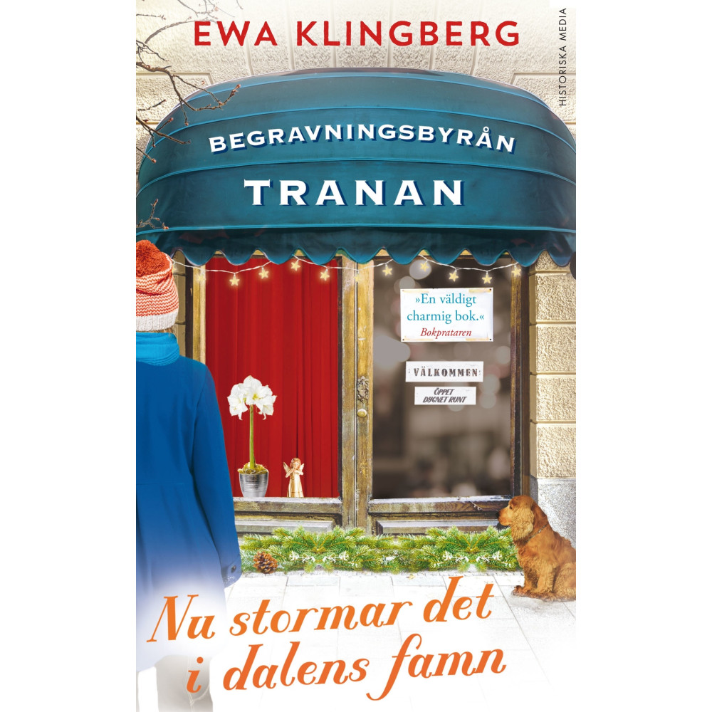 Produktbild för Nu stormar det i dalens famn (pocket)
