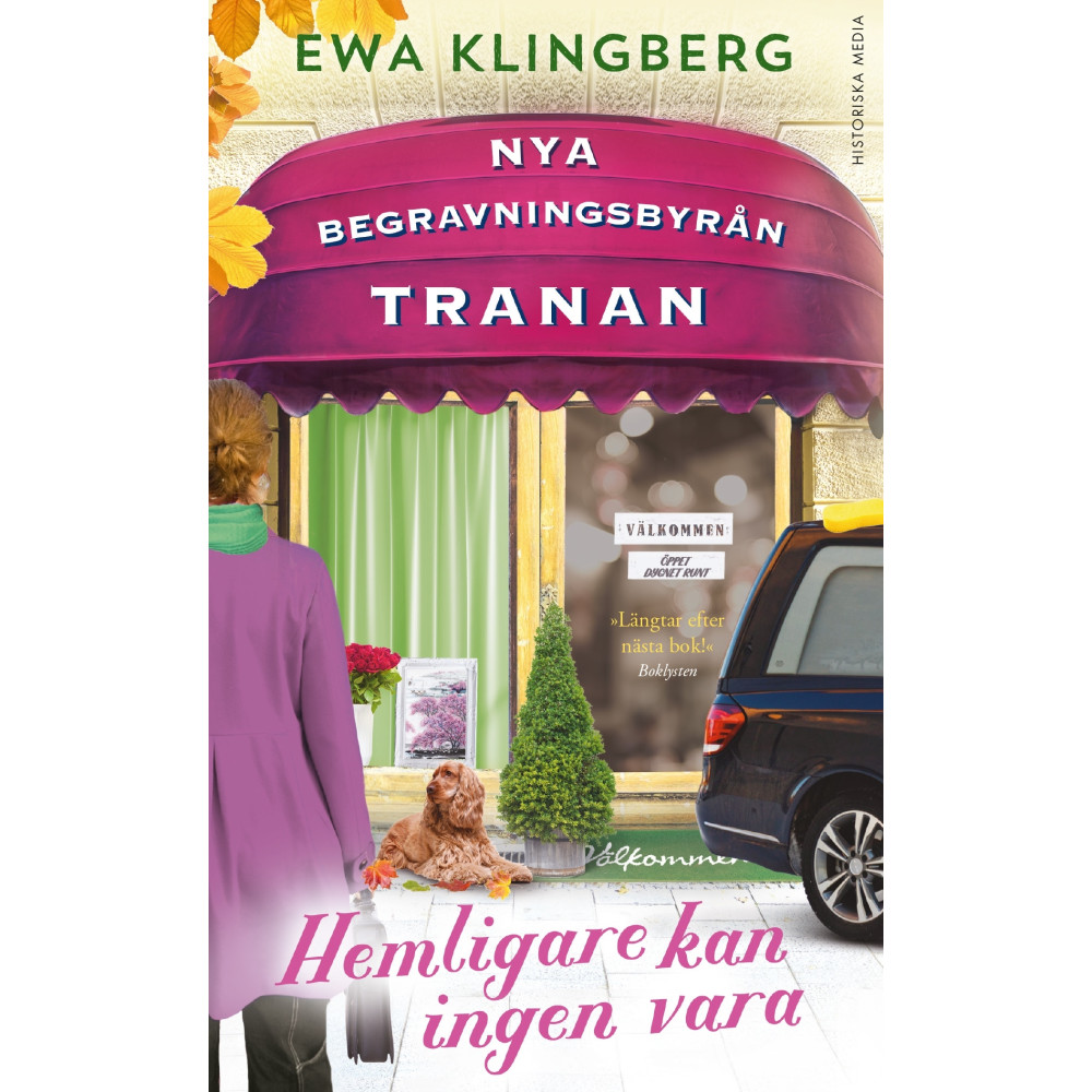 Produktbild för Hemligare kan ingen vara (pocket)