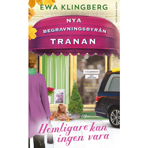 Ewa Klingberg Hemligare kan ingen vara (pocket)