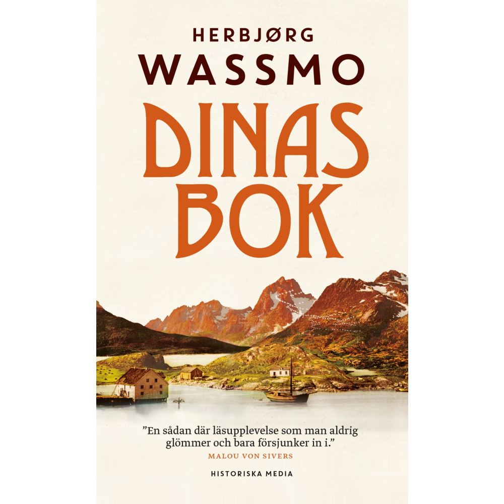 Produktbild för Dinas bok (pocket)