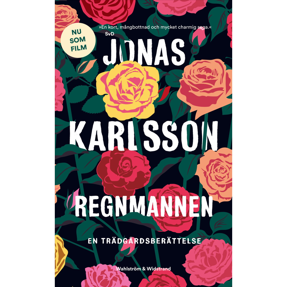 Produktbild för Regnmannen : en trädgårdsberättelse (pocket)