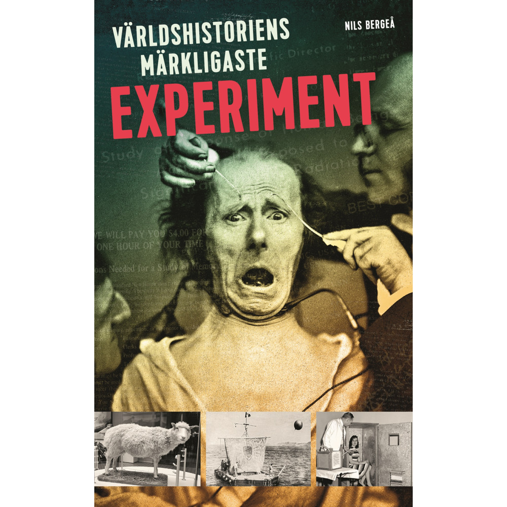 Produktbild för Världshistoriens märkligaste experiment (inbunden)