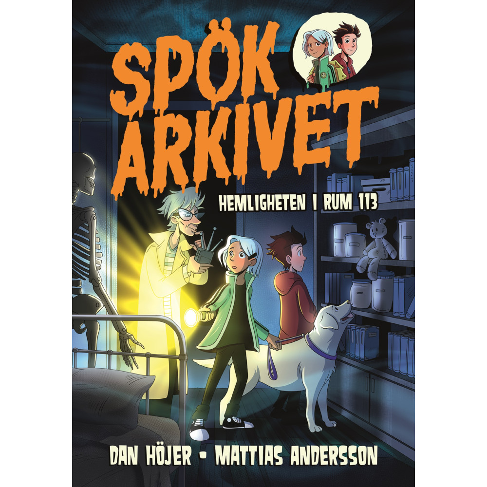 Produktbild för Hemligheten i rum 113 (bok, kartonnage)