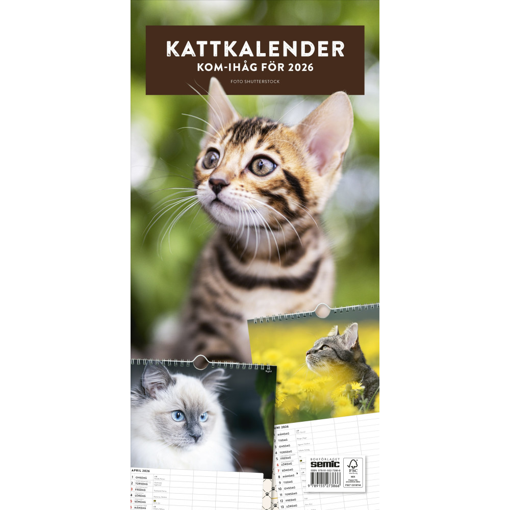 Produktbild för Kattkalender 2026 (bok, spiral)