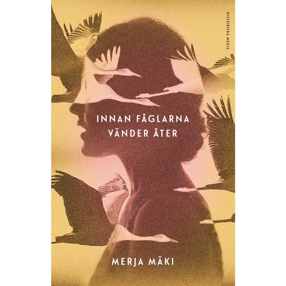 Produktbild för Innan fåglarna vänder åter (inbunden)