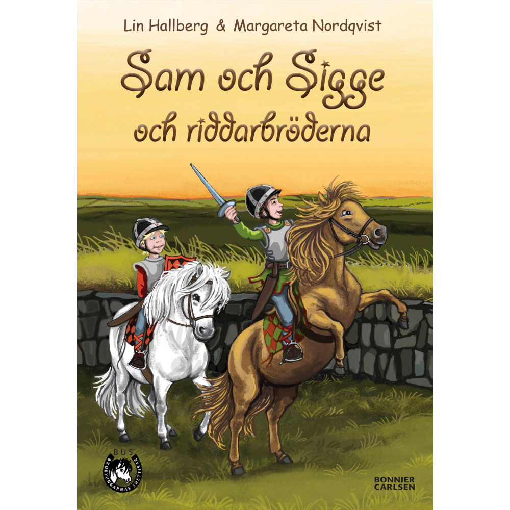 Produktbild för Sam och Sigge och riddarbröderna (inbunden)