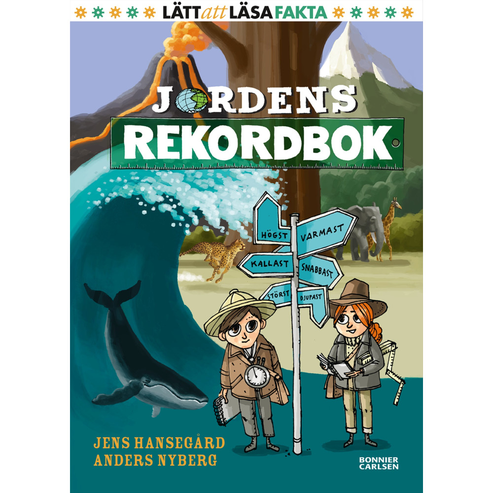 Produktbild för Jordens rekordbok (inbunden)