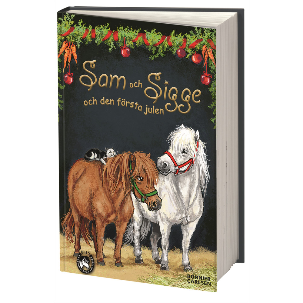 Produktbild för Sam och Sigge och den första julen (inbunden)