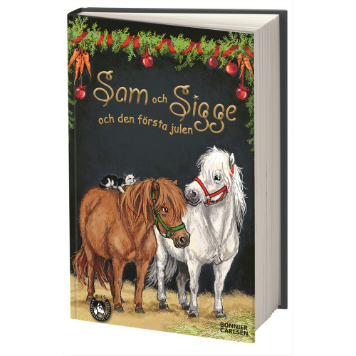 Lin Hallberg Sam och Sigge och den första julen (inbunden)