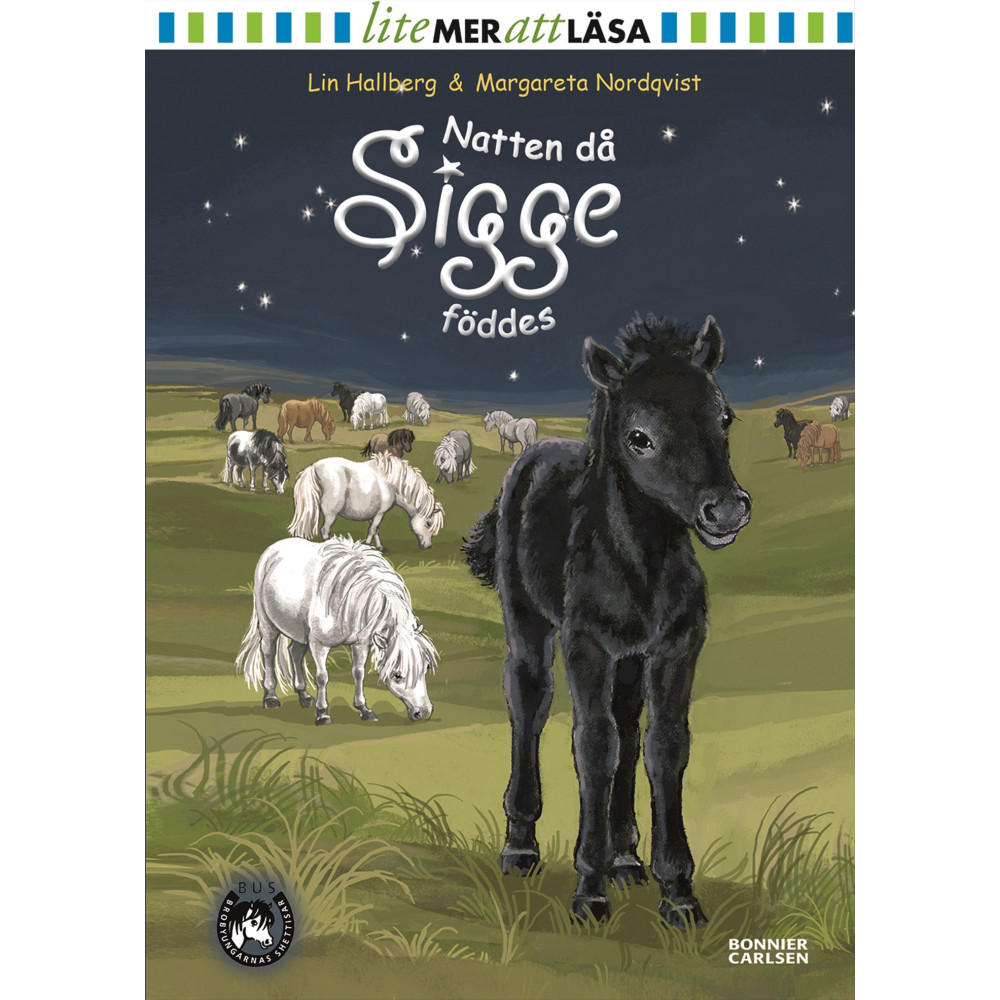 Produktbild för Natten då Sigge föddes (inbunden)