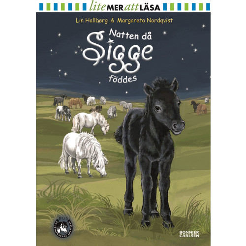 Lin Hallberg Natten då Sigge föddes (inbunden)
