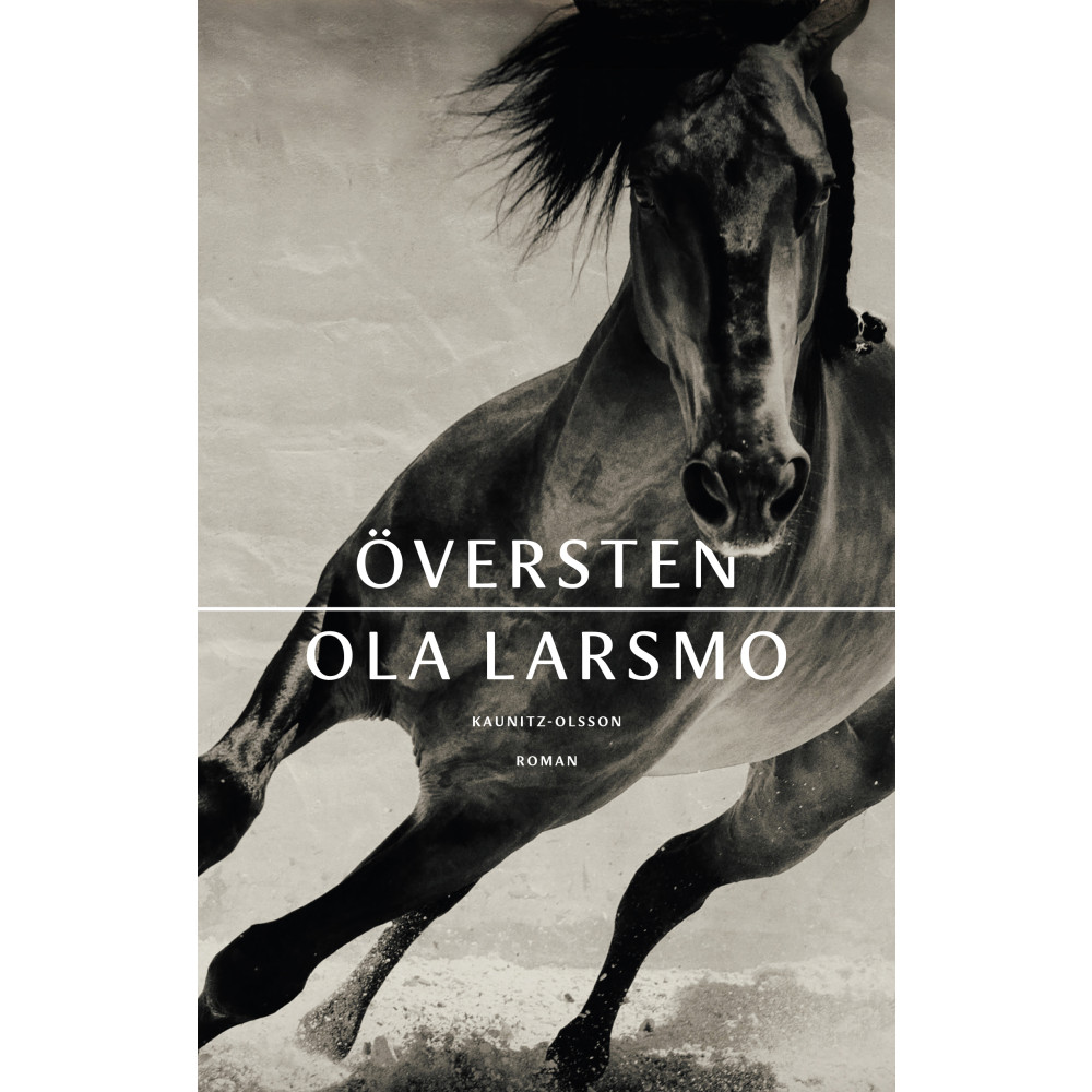 Produktbild för Översten (inbunden)