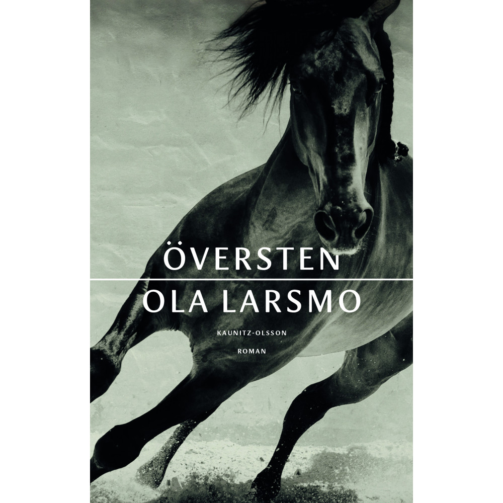 Produktbild för Översten (pocket)