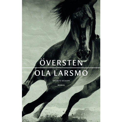 Ola Larsmo Översten (pocket)