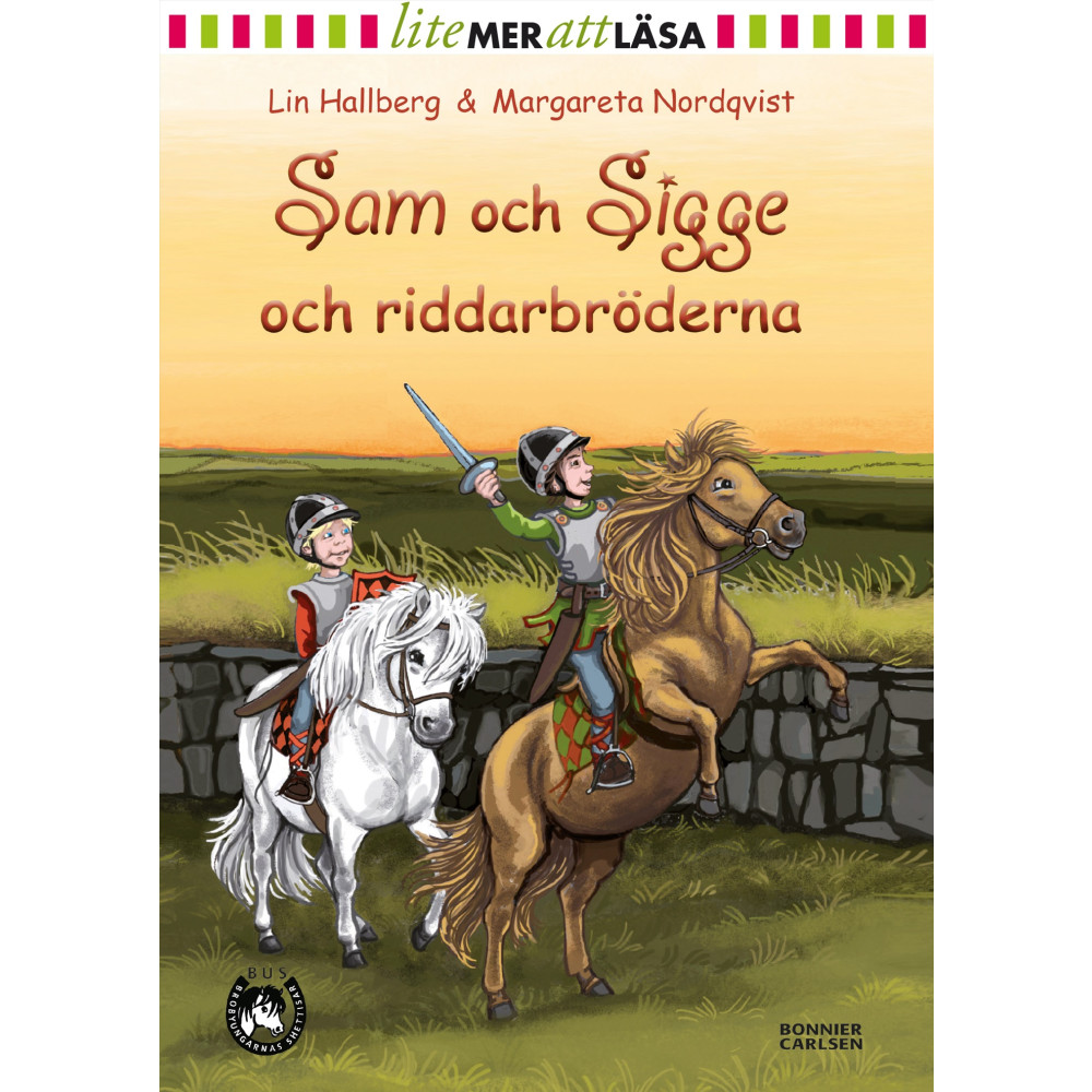 Produktbild för Sam och Sigge och riddarbröderna (inbunden)