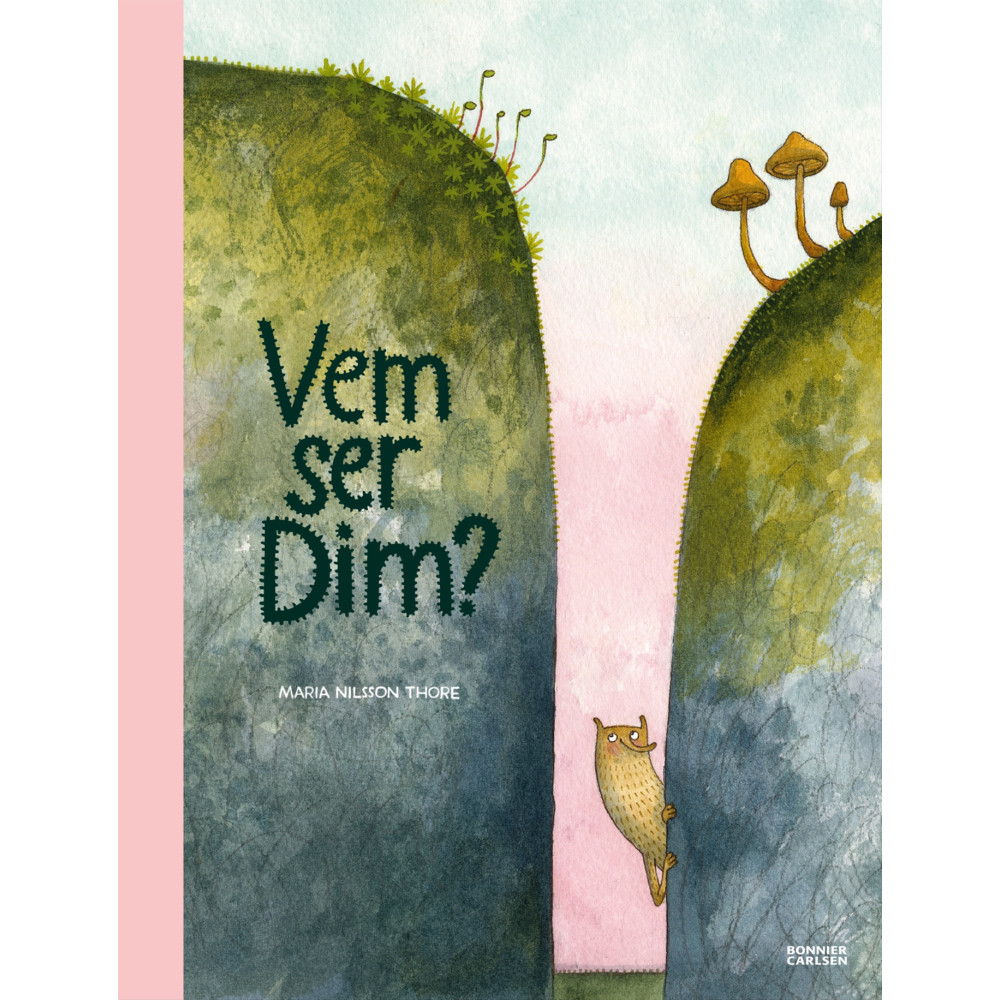 Produktbild för Vem ser Dim? (inbunden)