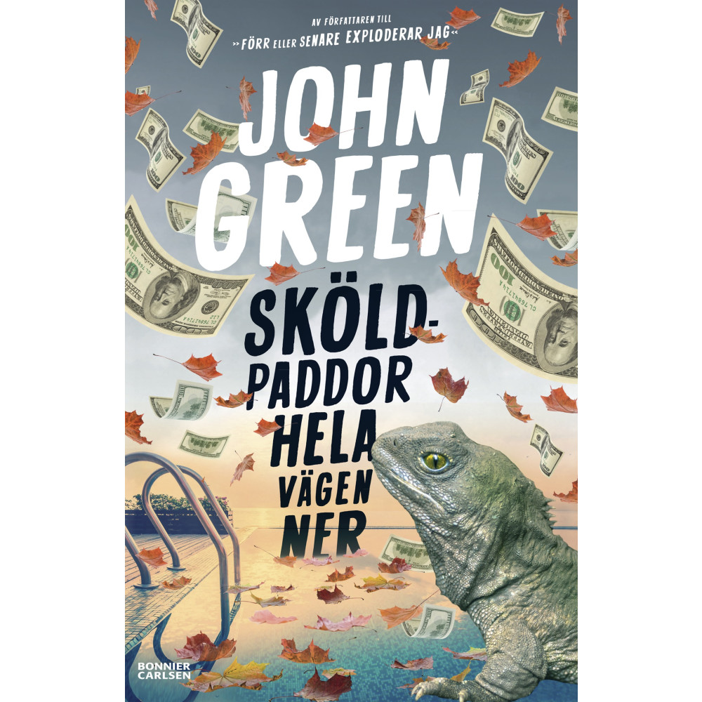 Produktbild för Sköldpaddor hela vägen ner (bok, danskt band)