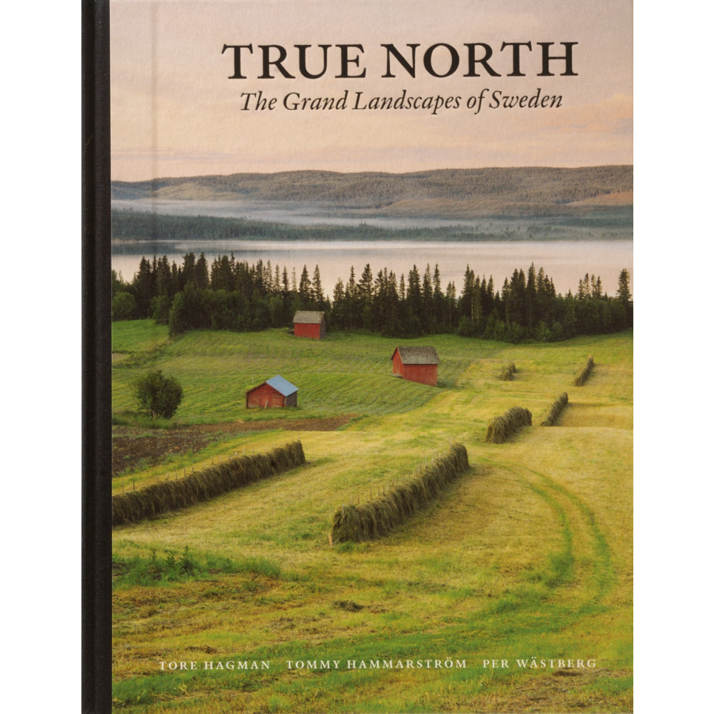 Produktbild för True north : the grand landscapes of Sweden (kompakt) (bok, halvklotband, eng)
