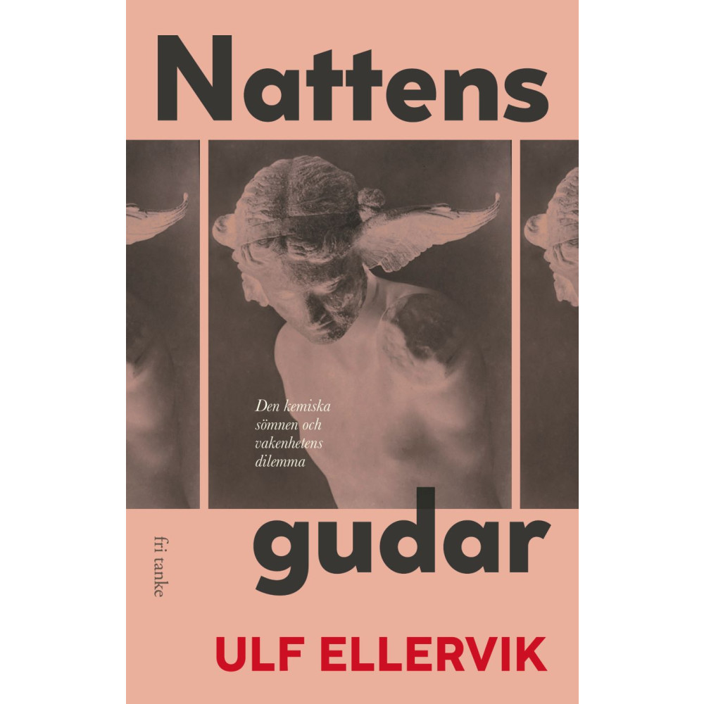 Produktbild för Nattens gudar : den kemiska sömnen och vakenhetens dilemma (inbunden)