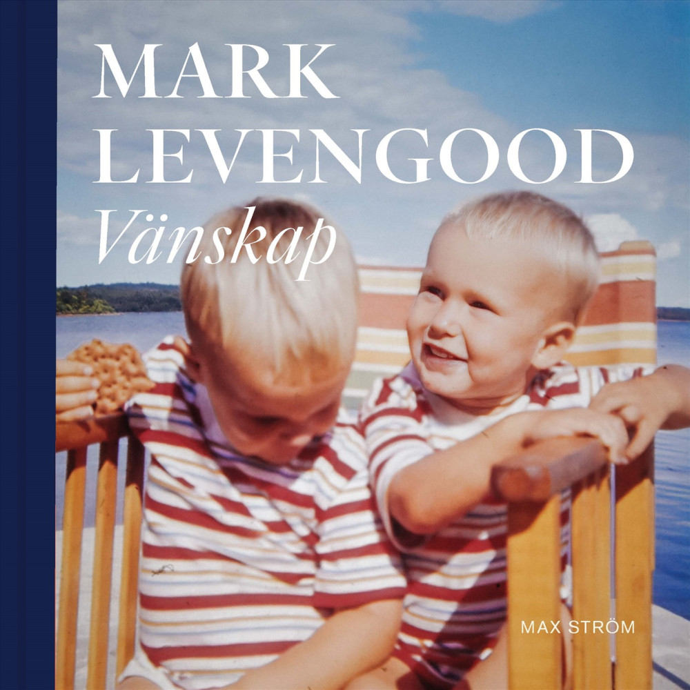 Produktbild för Vänskap (inbunden)
