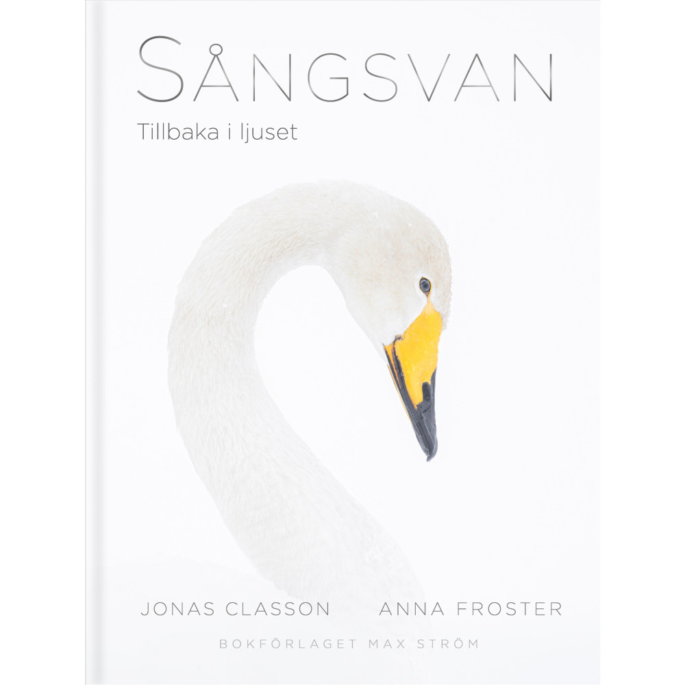 Produktbild för Sångsvan : Tillbaka i ljuset (inbunden)