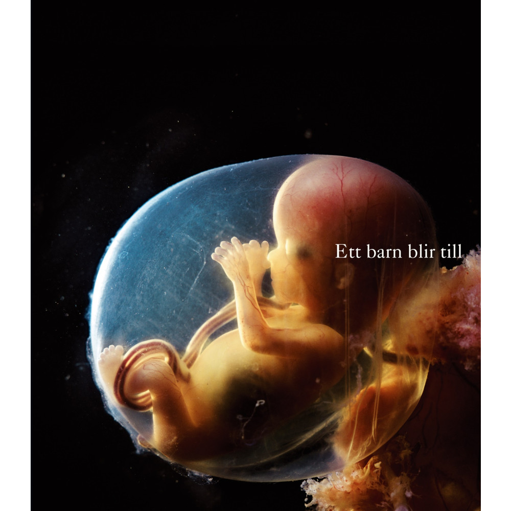 Produktbild för Ett barn blir till (bok, kartonnage)