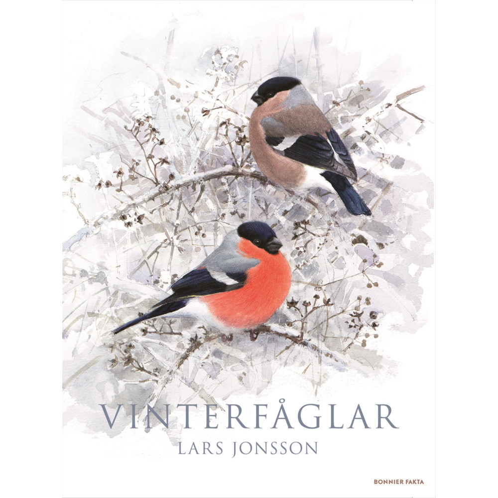 Produktbild för Vinterfåglar (inbunden)