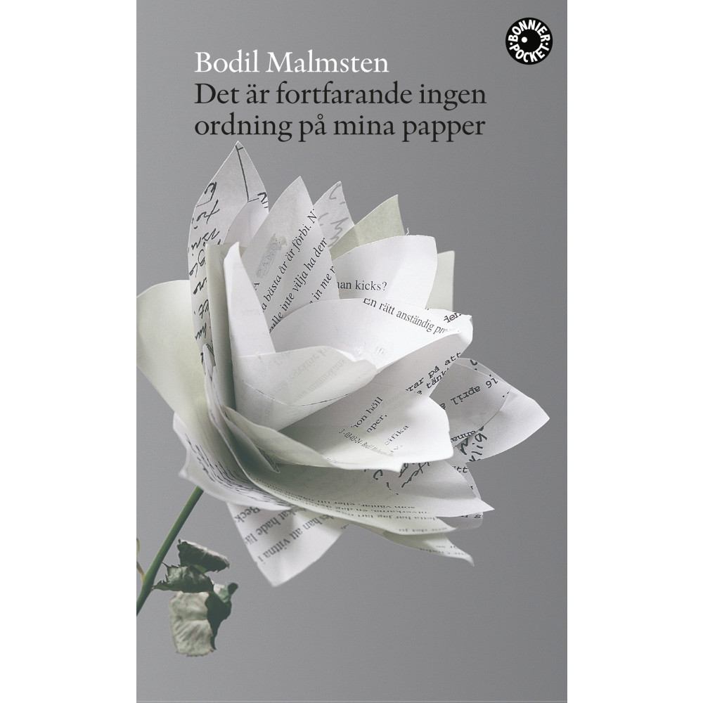 Produktbild för Det är fortfarande ingen ordning på mina papper (pocket)