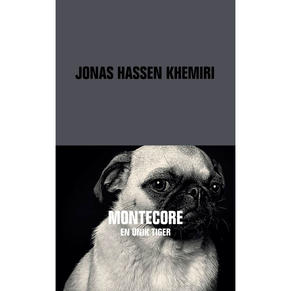 Produktbild för Montecore (pocket)