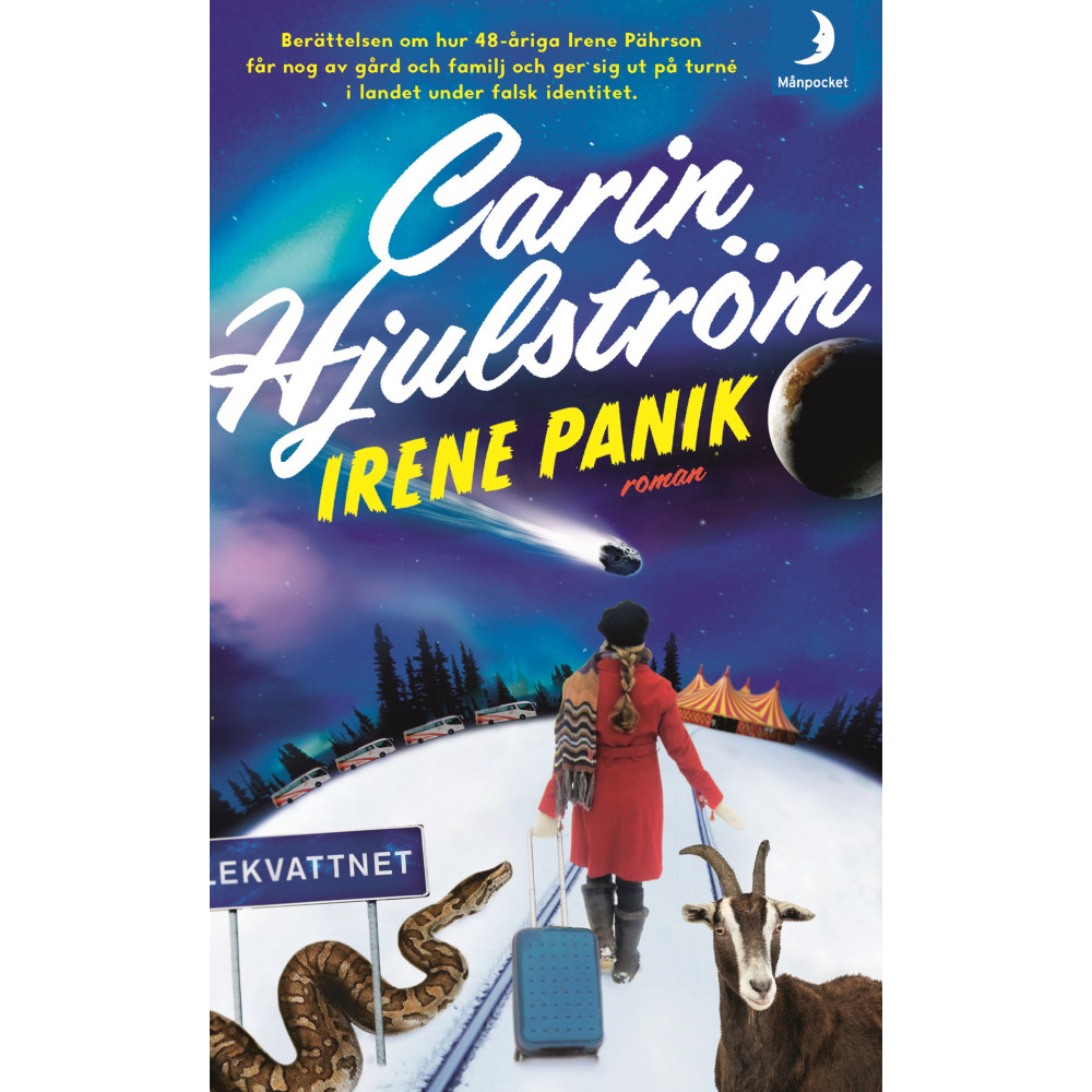 Produktbild för Irene Panik (pocket)