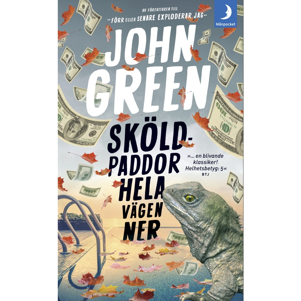 Produktbild för Sköldpaddor hela vägen ner (pocket)