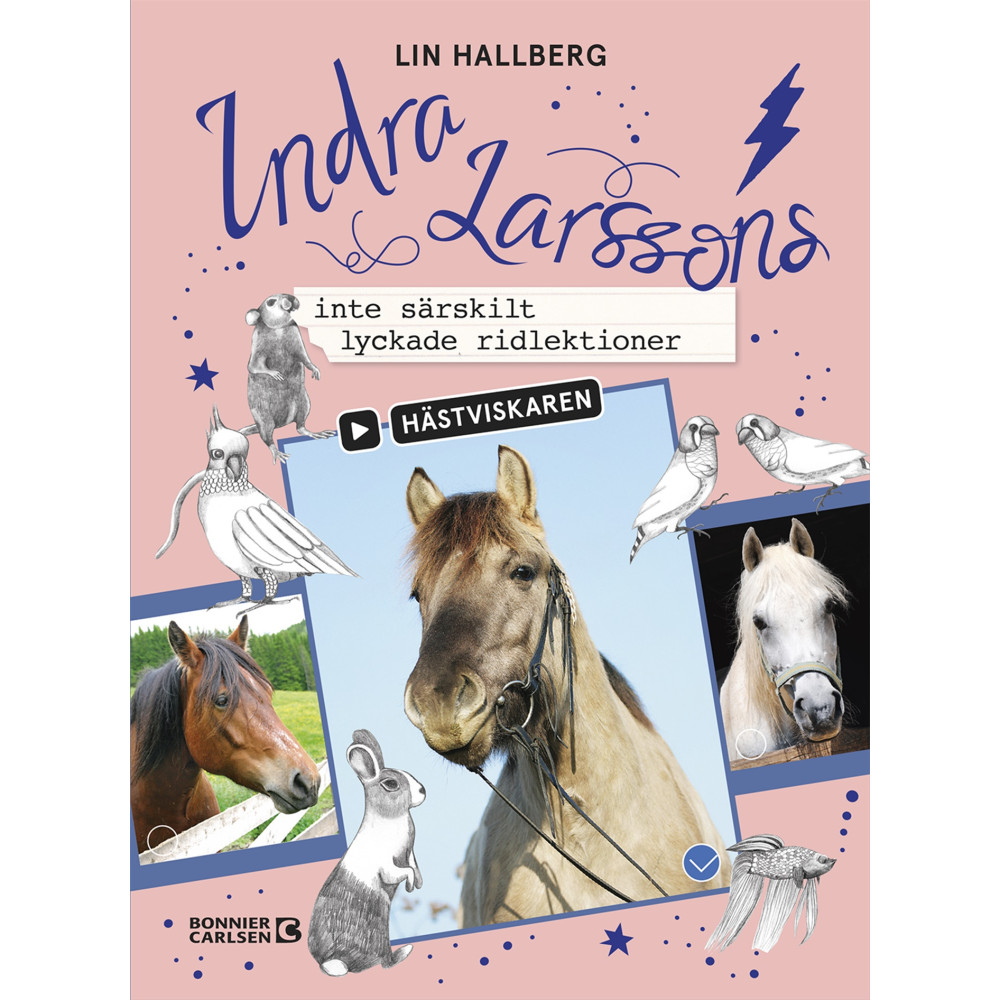 Produktbild för Indra Larssons inte särskilt lyckade ridlektioner (bok, kartonnage)