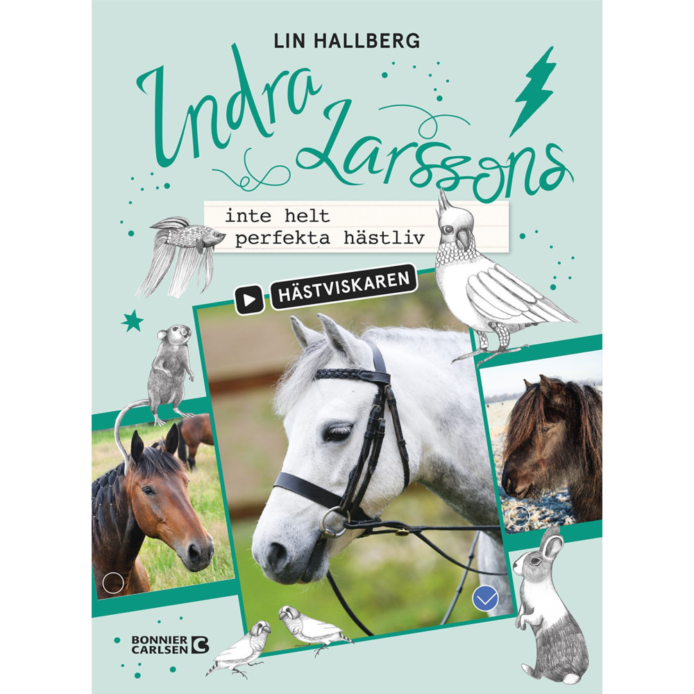 Produktbild för Indra Larssons inte helt perfekta hästliv (bok, kartonnage)