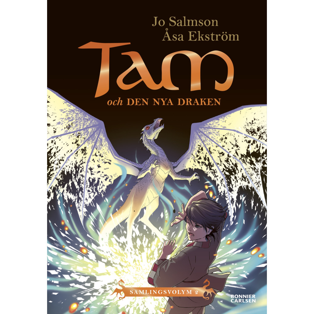 Produktbild för Tam och den nya draken (Drakriddare, bok 4-6) (bok, kartonnage)