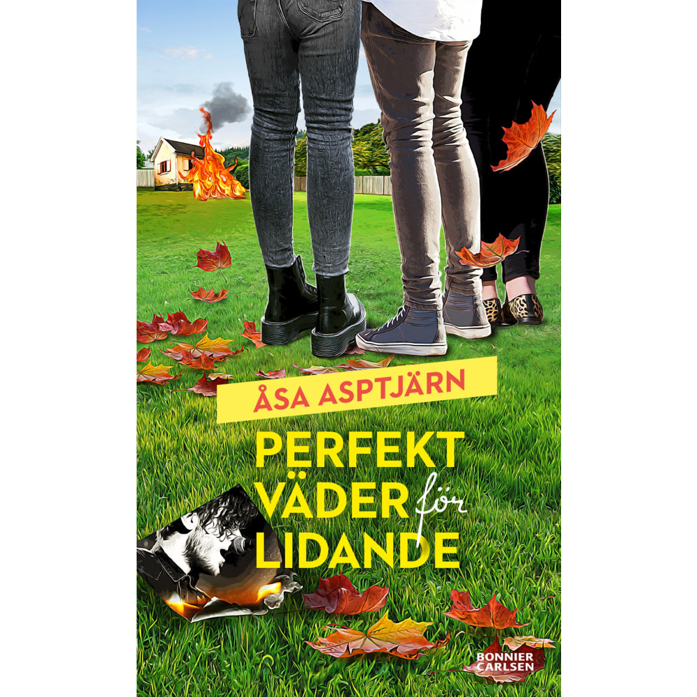 Produktbild för Perfekt väder för lidande (bok, danskt band)