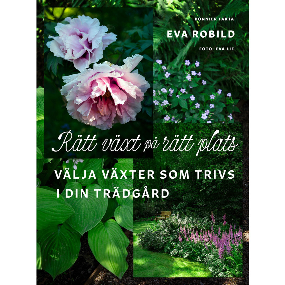 Produktbild för Rätt växt på rätt plats : välja växter som trivs i din trädgård (inbunden)
