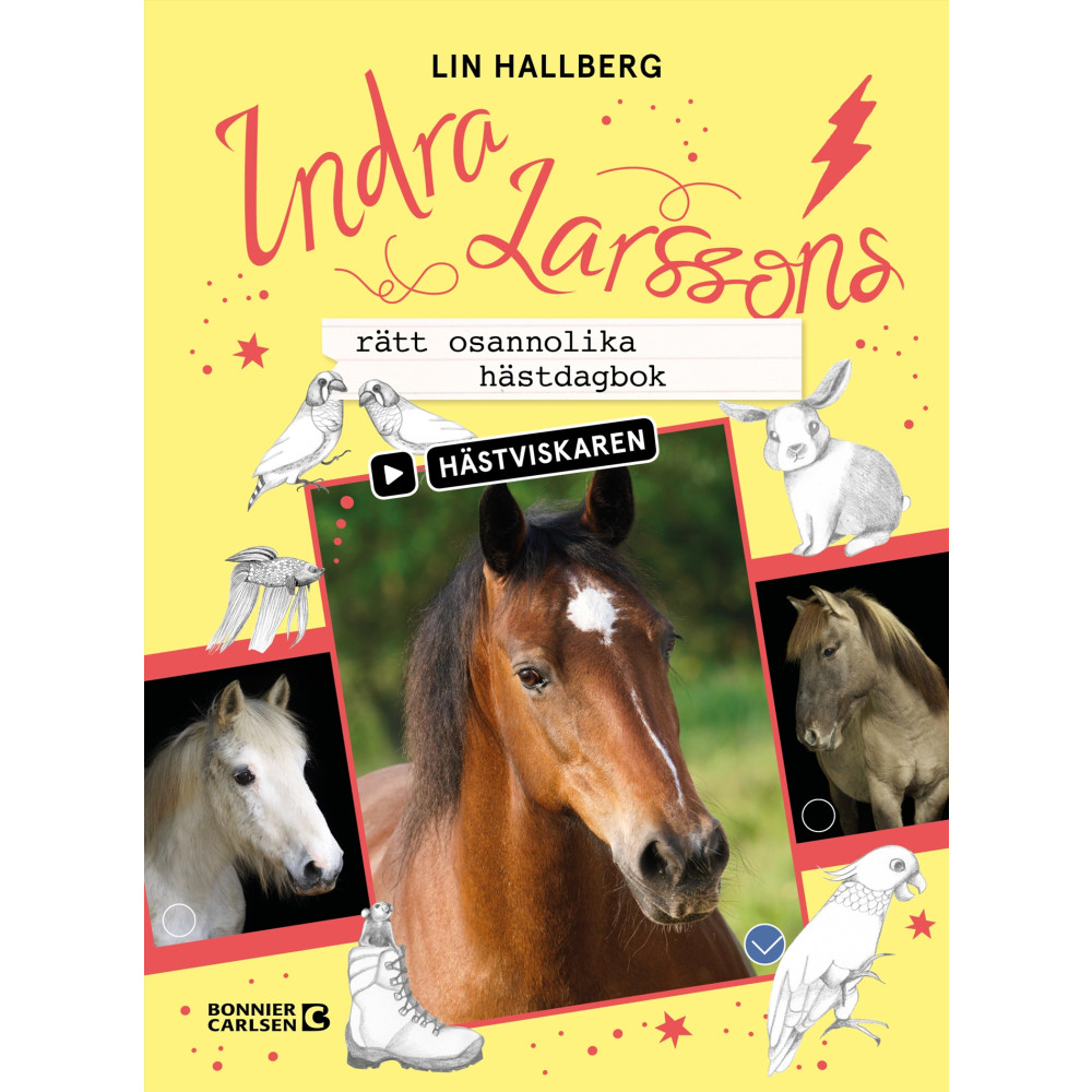 Produktbild för Indra Larssons rätt osannolika hästdagbok (bok, kartonnage)
